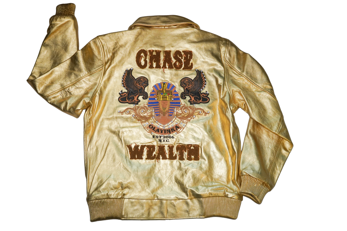 Chase Wealth Leather Jacket